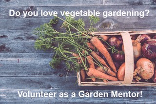 Picture of vegetables for Garden Mentor