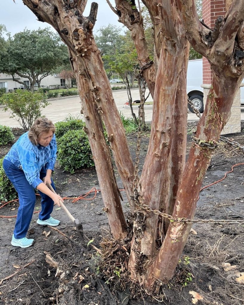 Pastor Isabel chopping tree roots